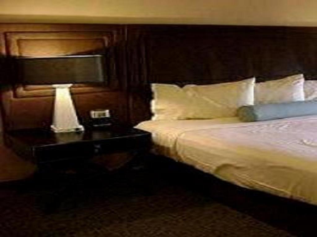 Hotel Sagar Castle Ratlām Стая снимка
